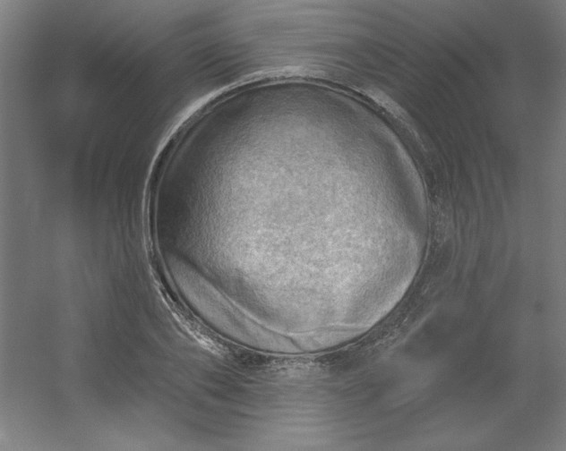 X0000054400886200508121656