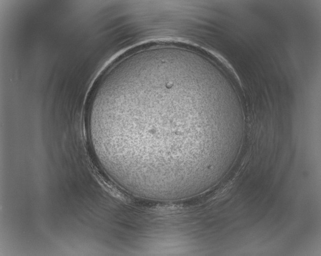 X0000054400887200508121656