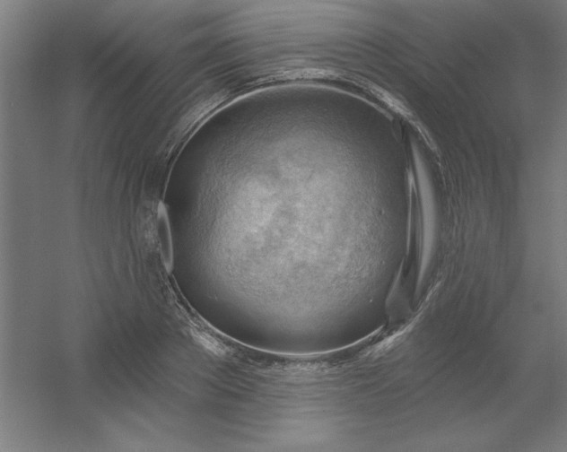 X0000054400889200508121656