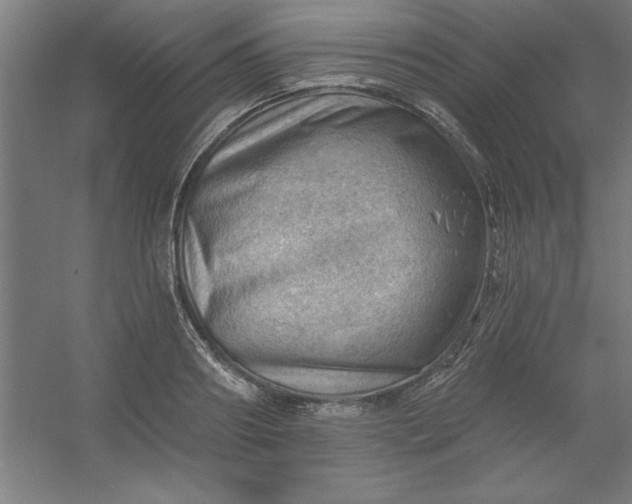 X0000054400890200508121656