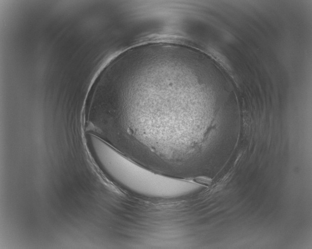 X0000054400891200508121656