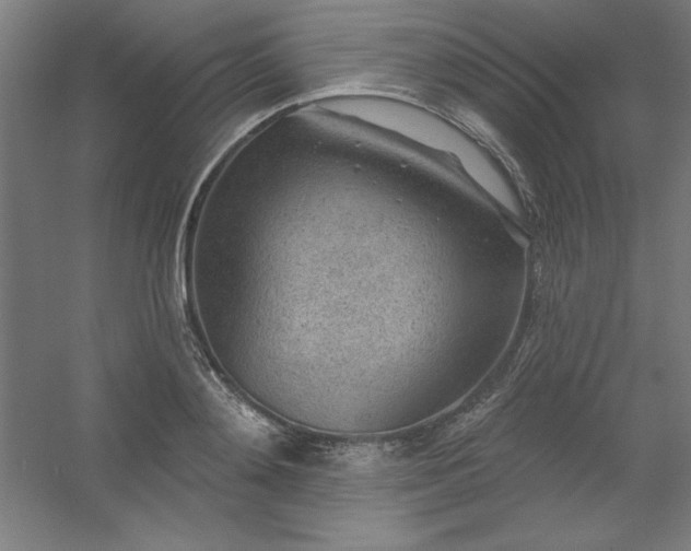 X0000054400892200508121656