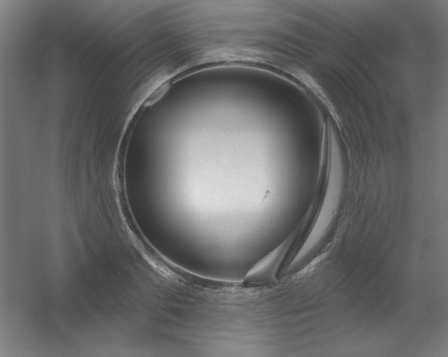 X0000054400893200508121656