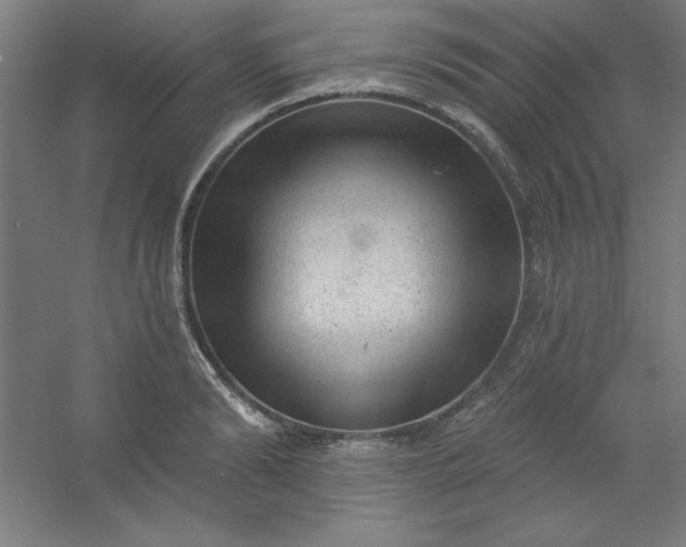 X0000054400894200508121656