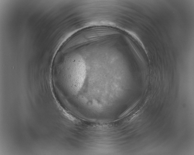 X0000054400895200508121656