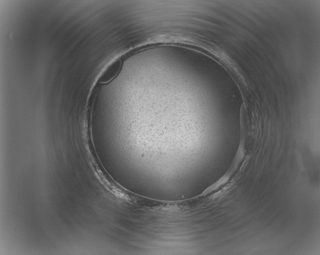 X0000054400896200508121656