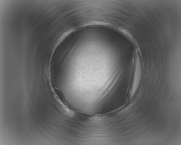 X0000054400898200508121656