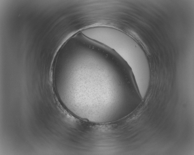 X0000054400900200508121656