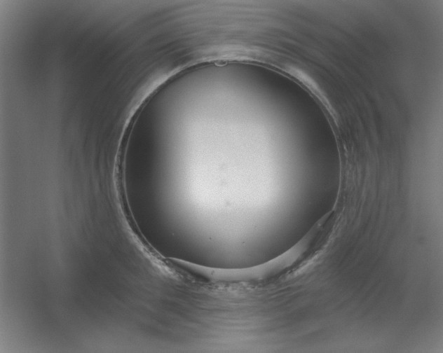 X0000054400901200508121656