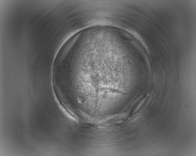 X0000054400903200508121656