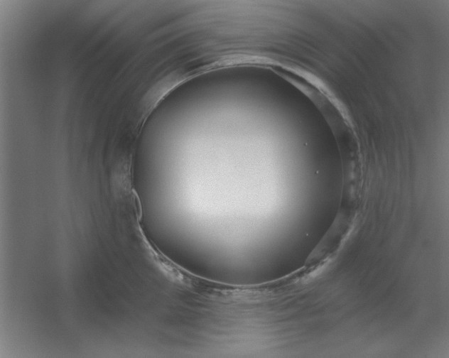 X0000054400905200508121656