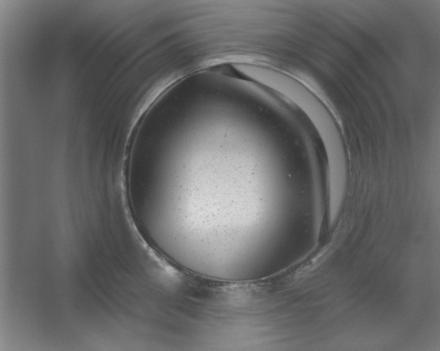 X0000054400906200508121656