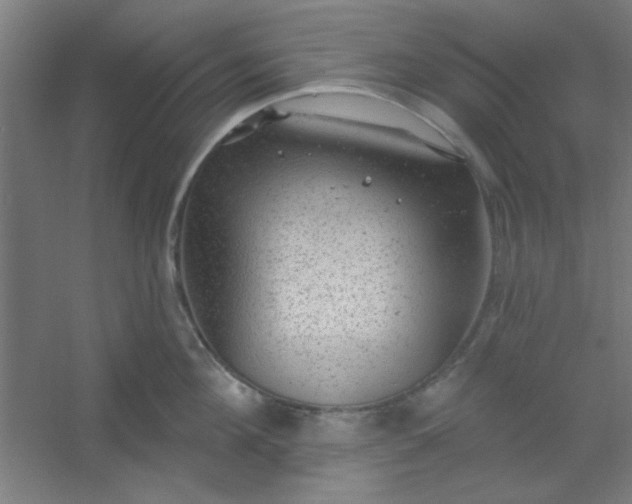 X0000054400908200508121656