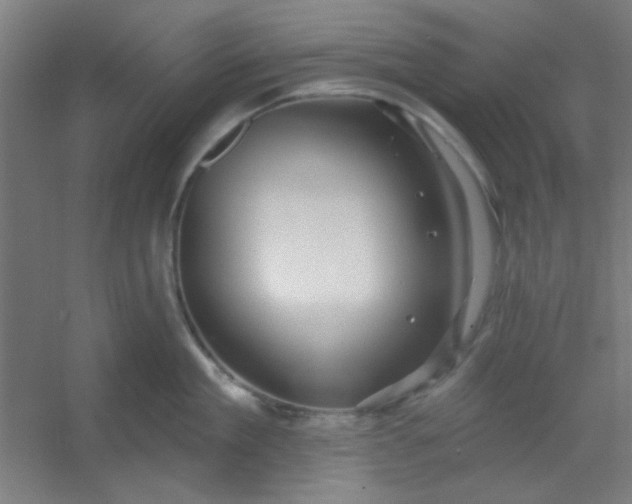 X0000054400909200508121656