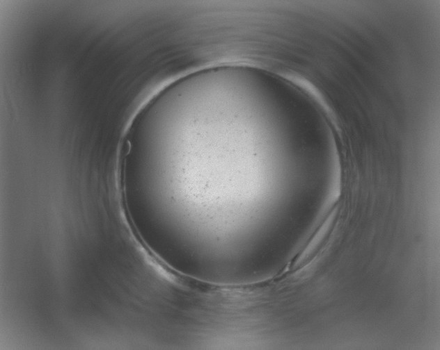 X0000054400910200508121655