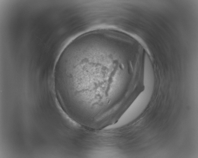 X0000054400911200508121655