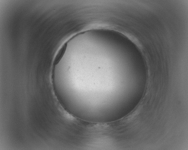 X0000054400912200508121655