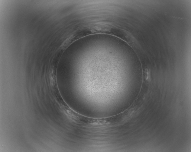 X0000054400915200508121655