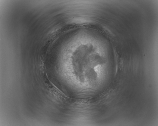 X0000054400917200508121655