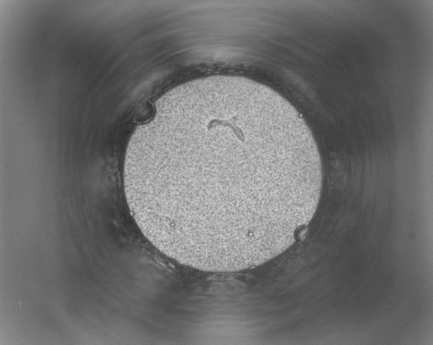 X0000054400918200508121655