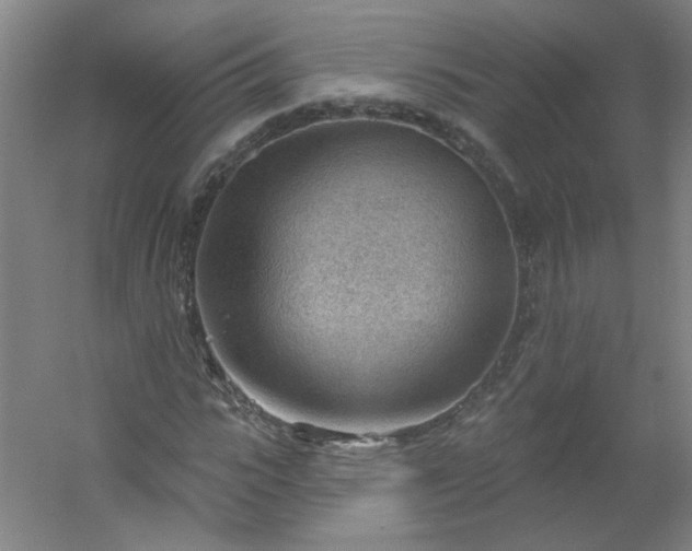 X0000054400919200508121655