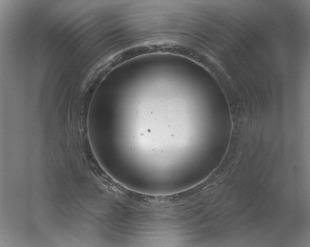 X0000054400920200508121655