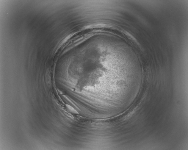 X0000054400921200508121655