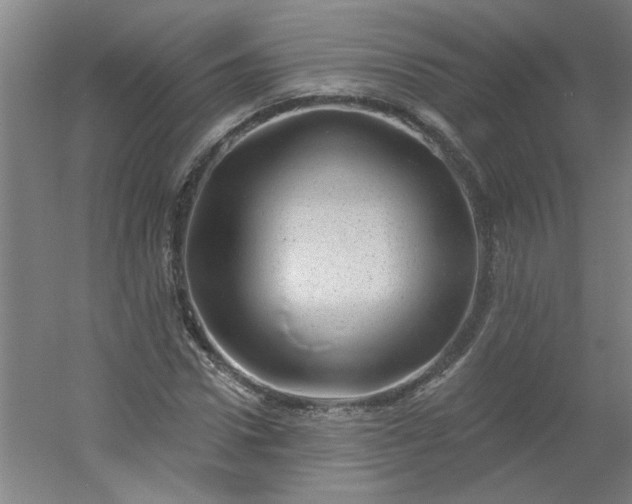 X0000054400922200508121655