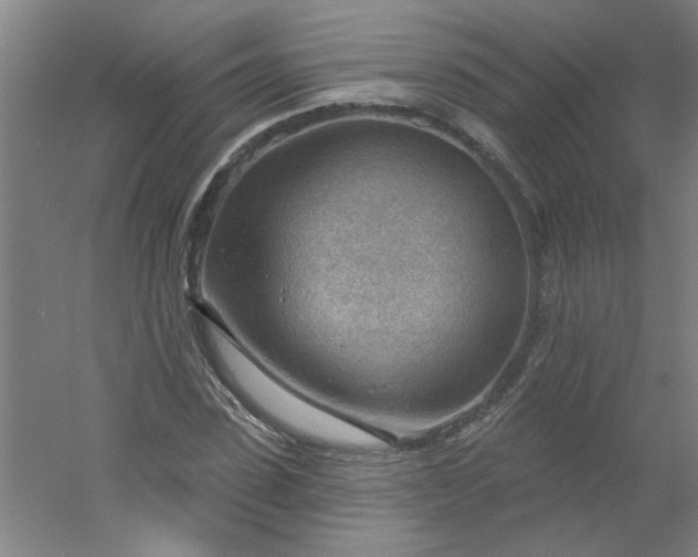 X0000054400923200508121655