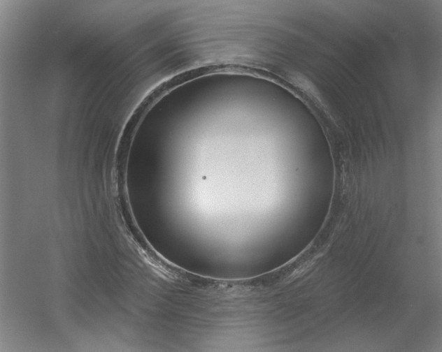 X0000054400924200508121655