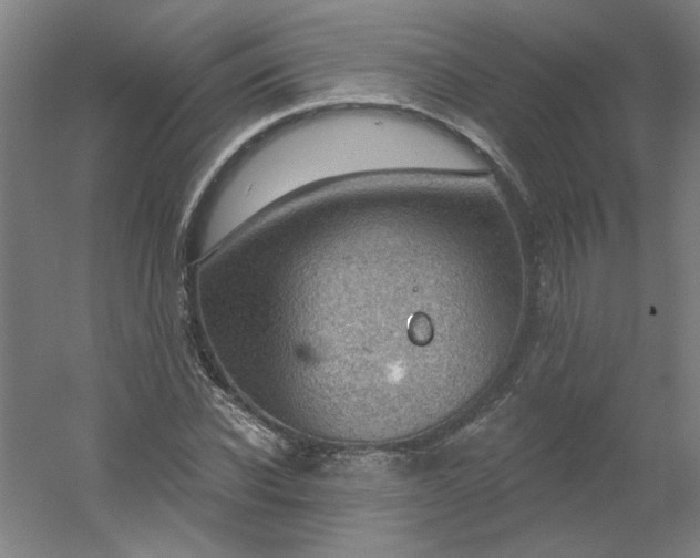 X0000054400926200508121655