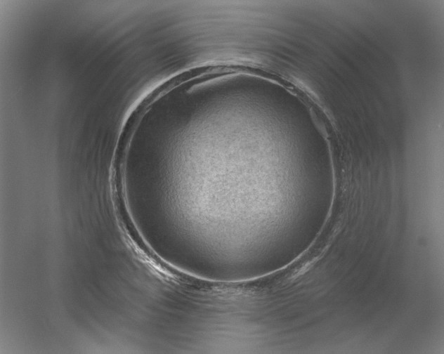 X0000054400928200508121655