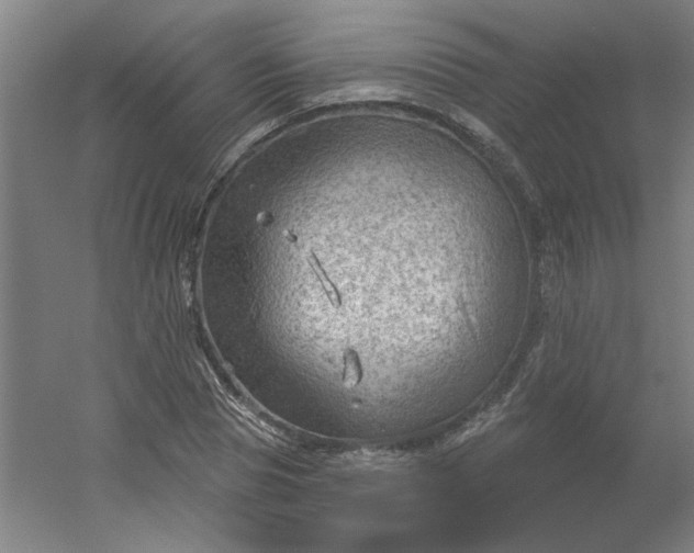 X0000054400929200508121655