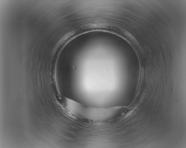 X0000054400930200508121655