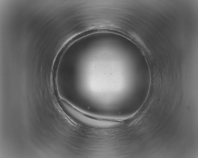 X0000054400932200508121655