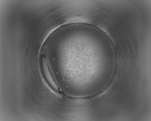 X0000054400933200508121655