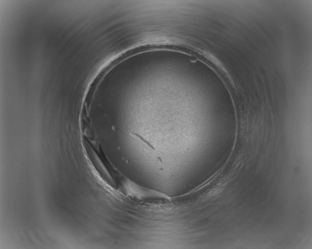 X0000054400935200508121655