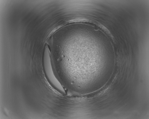 X0000054400937200508121655