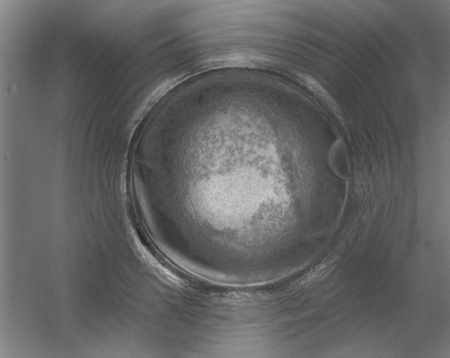 X0000054400938200508121655