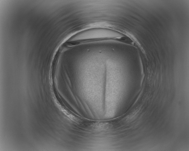 X0000054400939200508121655