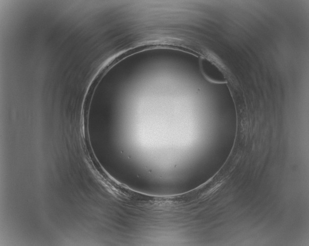 X0000054400940200508121655