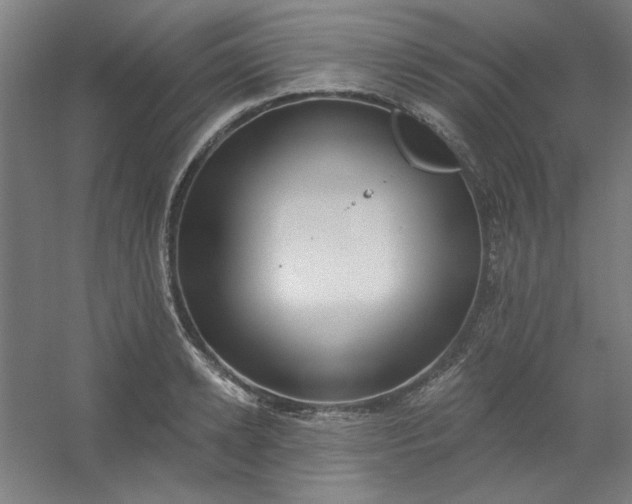 X0000054400942200508121655