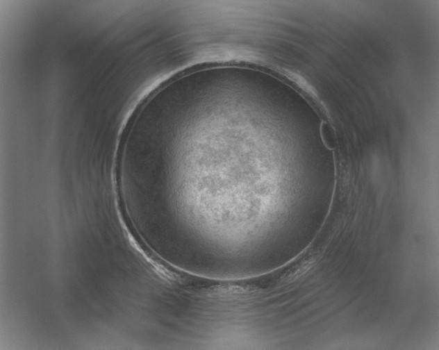 X0000054400943200508121655