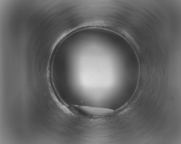 X0000054400944200508121655