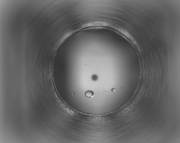 X0000054400945200508121655