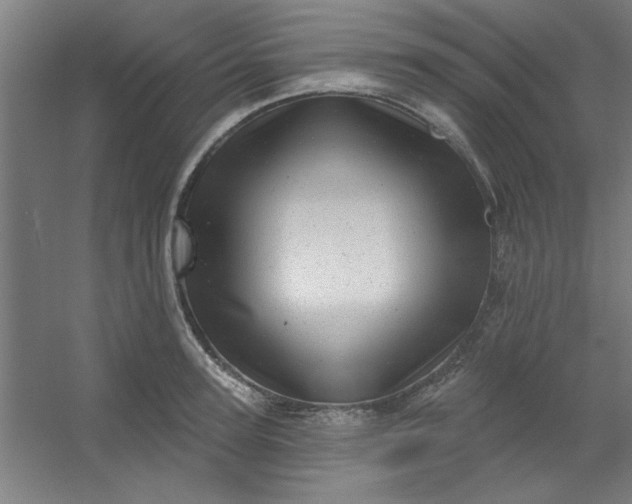 X0000054400947200508121655