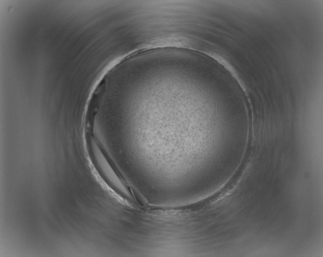 X0000054400949200508121655