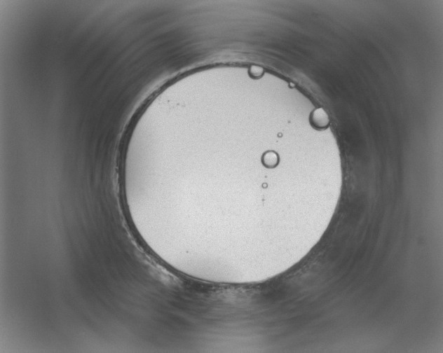 X0000054400950200508121655