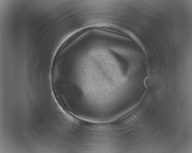 X0000054400951200508121655