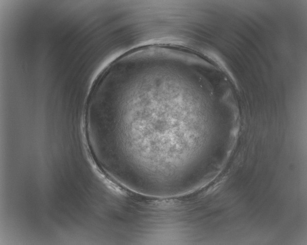 X0000054400952200508121655